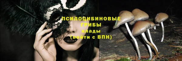 каннабис Арсеньев