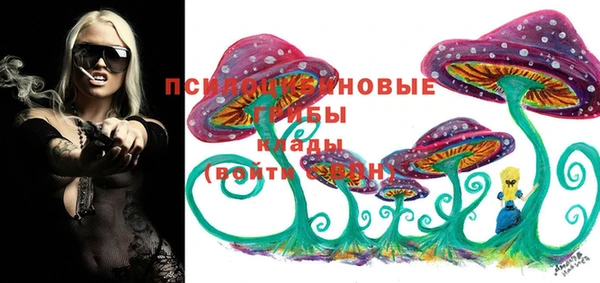 каннабис Арсеньев