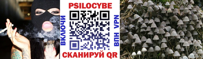 что такое   Радужный  Псилоцибиновые грибы Magic Shrooms 